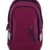 Satch Sleek Rucksack Pure Purple